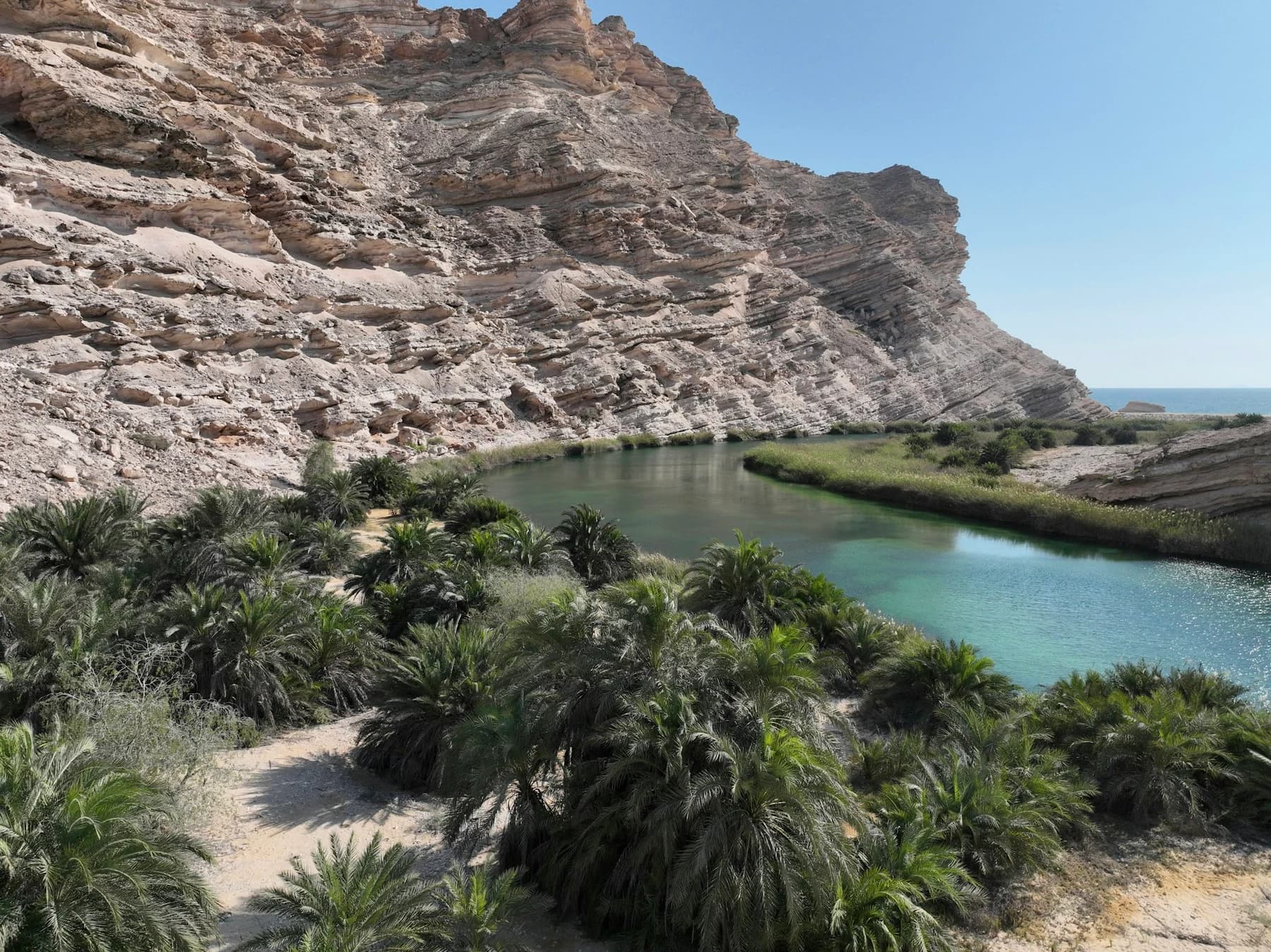 Palm trees and water surrounded by rocky terrain.